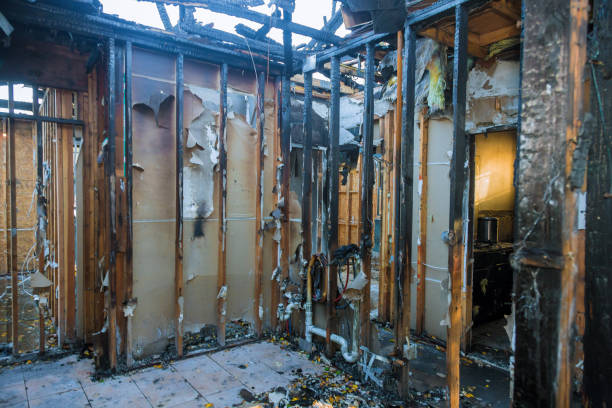 Professional Fire Damage Removal technician working in Edisto, SC